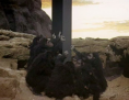 apes